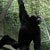 <br /><span class="tit">Ich bin der Cheff der Gibbons, Züri Zoo</span><span class="desc">Ich bin der Cheff der Gibbons, Züri Zoo</span><br /><div class="meta"><span class="aperture" title="Blende">aperture: </span><span class="time" title="Zeit">time: </span><span class="iso" title="Empfindlichkeit">iso: </span></div>