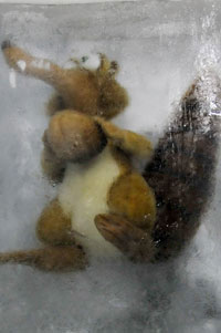Ice Age