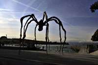 Maman Louise Bourgeois Maman Louise Bourgeois am Bürkliplatz