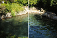 Mit und ohne Polfilter Polfilter