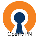  OpenVPN