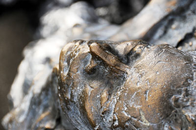 Neuer Norden Zürich