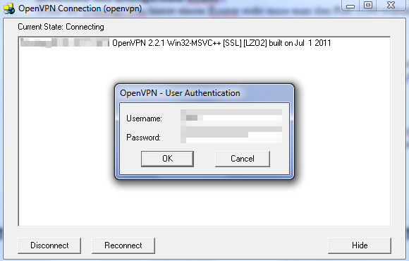 OpenVPN Windows Client
